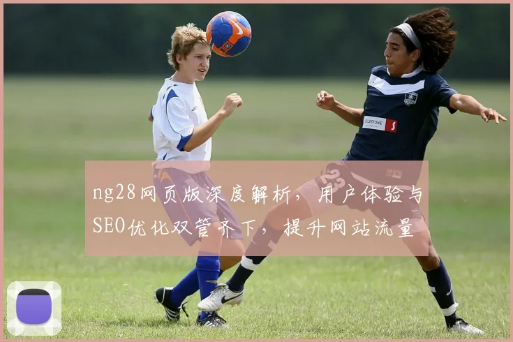 ng28网页版深度解析，用户体验与SEO优化双管齐下，提升网站流量