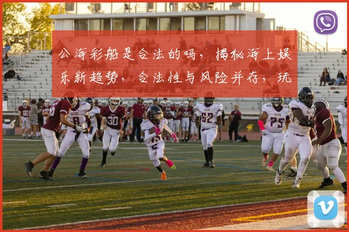 公海彩船是合法的吗，揭秘海上娱乐新趋势，合法性与风险并存，玩家需谨慎