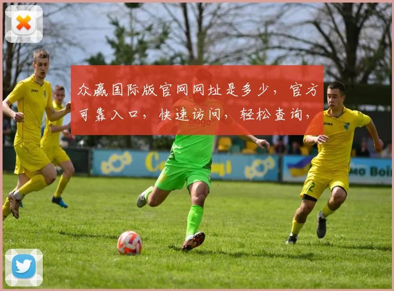 众赢国际版官网网址是多少，官方可靠入口，快速访问，轻松查询，三大亮点保障