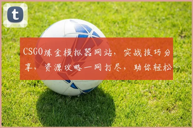 CSGO炼金模拟器网站，实战技巧分享，资源攻略一网打尽，助你轻松炼金逗比