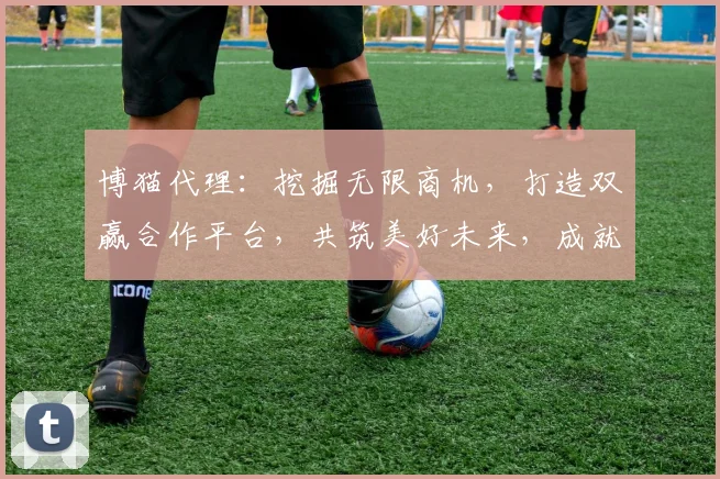 博猫代理：挖掘无限商机，打造双赢合作平台，共筑美好未来，成就事业新高峰。