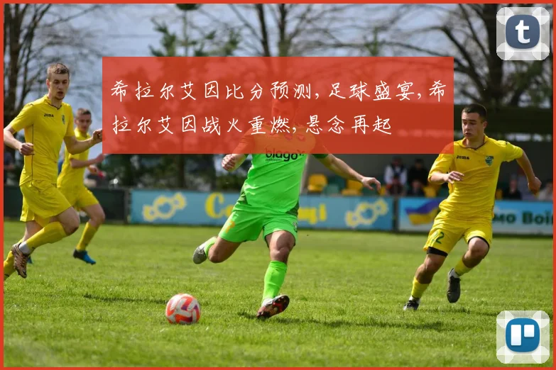 希拉尔艾因比分预测,足球盛宴,希拉尔艾因战火重燃,悬念再起