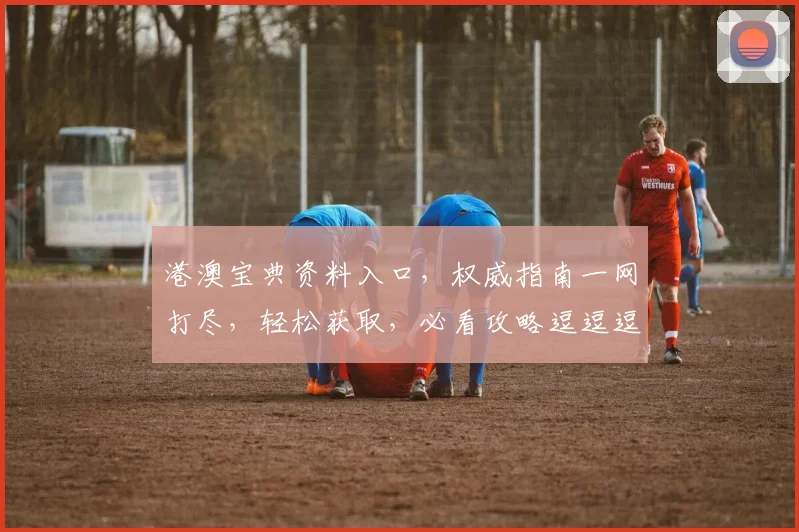 港澳宝典资料入口，权威指南一网打尽，轻松获取，必看攻略逗逗逗