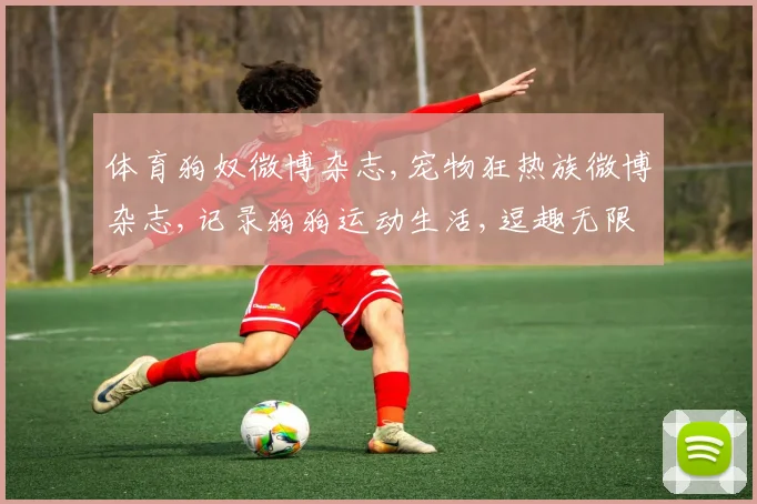 体育狗奴微博杂志,宠物狂热族微博杂志,记录狗狗运动生活,逗趣无限