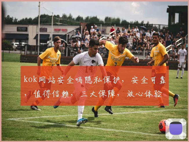 kok网站安全吗隐私保护，安全可靠，值得信赖，三大保障，放心体验
